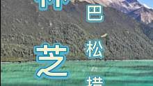 巴松措的湖水绿得非常诱人，就像是一大块碧绿的翡翠，宝石一般的湖泊令人心神向往！#大自然的馈赠 #人间