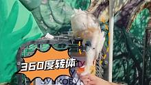 360度螺旋托马斯式rua凤头鹦鹉！