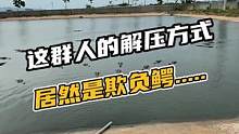 这群人的解压方式居然是欺负鳄........#鳄珍 #鳄鱼养殖场 #鳄鱼 