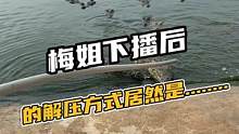 梅姐下播后的解压方式居然是.....#鳄珍 #鳄鱼 #鳄鱼养殖场 