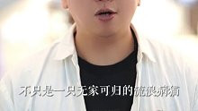 男子凌晨遇气肿流浪猫收养就医原来不是猫中猛男，是小可爱生病了