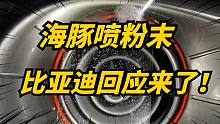比亚迪海豚喷粉末事件！官方回应了，确有此事可以免费处理！