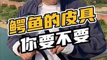 鳄鱼的皮具你要不要！#鳄珍 #鳄鱼 #鳄鱼养殖场 