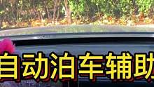 自动泊车辅助功能 倒出库位#大成驾道教练联盟 #智驾驶手册 #专业的事交给专业的人