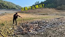 江西罕见持续干旱，小伙远远发现大型水库不对劲，走近一看吓一跳