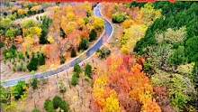 我把最美的深秋定格在这里#一起去看看山东浪漫的秋吧 #深秋时节的诗情画意 #最美的风景在路上 #中国