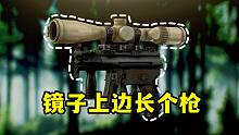 瞄准镜上长了个枪【逃离塔科夫】