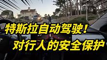 特斯拉FSD对路人的保护有多安全？看了你就知道了