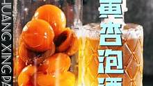 常温浸泡的#黄杏 酒偏酸甜，适合餐前开胃，70度恒温水浴泡法更有杏儿的香甜~#搜索流量来了 #泡酒