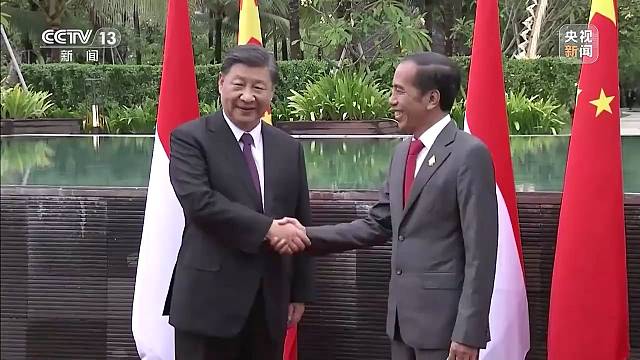 独家视频丨习近平同印尼总统佐科举行会谈