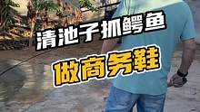 清理池子做商务鞋#鳄鱼 #鳄珍 #鳄鱼养殖场