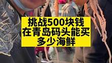 挑战500块钱在青岛码头，能买多少海鲜#渔民生活实拍 #野生海鲜 #渔民出海 #海鲜美食