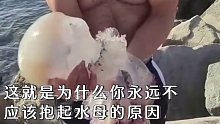 为什么不要轻易去触摸甚至抱起一只水母？