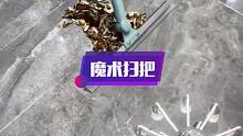 这个扫把也太实用了 既能扫猫毛又能刮水还不留水渍#萌宠好物 #魔术扫把#刮水扫把