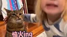 #后槽牙都咬碎了 栓q了，你看我有在笑吗?#猫咪 #搞笑 #专治不开心