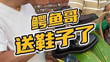 老板要送工人一双马丁靴！#鳄鱼 #鳄珍 #鳄鱼养殖场 #马丁靴