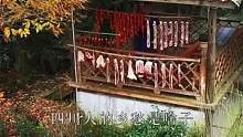四川人的乡愁是啥子，肯定是香肠腊肉啊；过年过节必不可少的年味。#香肠