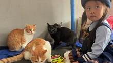 啵妞和她四只小猫的故事❤️#人类幼崽成长记 #小朋友眼中的大世界 #萌娃和萌宠 #关爱流浪动物