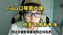 东方鼎Fala口琴教学 第六课 低音区演奏方法及说明
