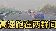 高速跑在两群间 结群扎堆有风险#大成驾道教练联盟 #智驾驶手册 #专业的事交给专业的人 