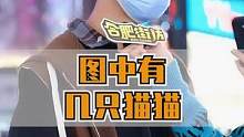 下面这张图中有几只猫？#街头采访 #内容过于真实