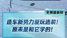为啥造车新势力都爱玩选装？你知道哪些奇葩的选装吗？#2022懂车帝新能源冬测#新能源汽车