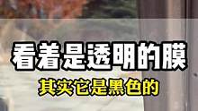 这块玻璃上的膜里面看外面清晰，外面看里面看不清，你喜欢吗