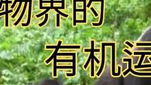 动物世界#有氧运动#不一样的感觉