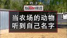一个小实验：农场的动物们听到自己的名字时，会有什么反应？它们好像真的都知道自己叫什么哎。#动物 #可
