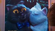明明是个广告，怎么看出来喵片的感觉！黑猫和白猫的爱情羡慕哭了 #广告  #爱情  #可爱  #动漫 