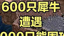 当600只犀牛遭遇3000只熊围攻！ #大片即视感 #单机游戏