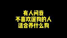 每天遛狗多幸福呀，能跑能跳还能尿，怎么会有人不喜欢遛狗呢？by格鲁 