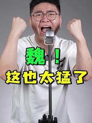 #全球魏硬剛歐洲本土車型 不開玩笑，這真的很安全！#碰撞測試 
