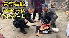 在老赵家宰鹅和大鸭子，没想到老赵今天过生日，铁锅炖大鹅太香了