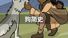狗简史，原来狼是这样被人类驯服变成狗的！ #狗简史 #狼 #狗 #涨知识#2022科普时刻 