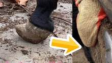 毛驴蹄子很大像穿了鞋一样，师傅给它修完蹄子立马变好看了 #来抖音学农技 #解压