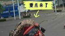 喝酒不开车，遵守交规心里搁#交通安全 #道路千万条安全第一条 #监控下的一幕 #安全第一生命至上