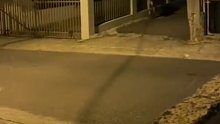 吓死牛牛了