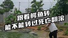 跟着鳄鱼转能不能转过死亡翻滚#鳄珍 #鳄鱼 #死亡翻滚