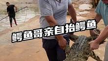 鳄鱼哥亲自抬鳄鱼了#鳄珍 #鳄鱼 #搬家
