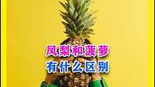 菠萝和凤梨有什么区别？ #科普 #美食 #纪录片 #制作过程 #好物推荐 #菠萝罐头 #凤梨 #菠萝