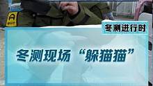 天冷时候千万不要急着开车，也许车底有小猫在取暖哦！#2022懂车帝新能源冬测#新能源汽车