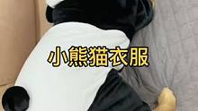 给壮壮买的小熊猫衣服 这也太可爱了叭#萌宠好物