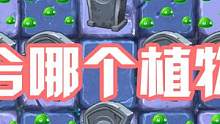 植物大战僵尸：十字地形适合哪些植物输出？热辣海藻美滋滋！ #植物大战僵尸 #pvz #手机游戏 #单