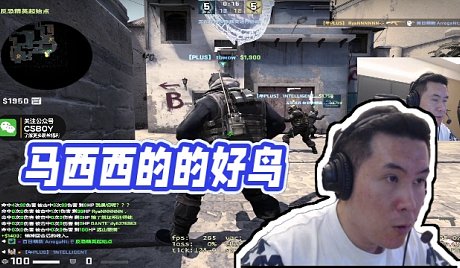 cs-搜索-专找直播-虎牙直播