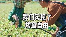 这烤鱼太香了！带大头去抓罗非鱼，不料这小子借花献佛  #新农村计划2022 #美食vlog #烤鱼 