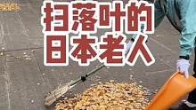 这两天是落叶旺季，难得在日本看到扫地的人 #海外生活 #日本生活 #银杏叶 #落叶知秋 #向环卫工人