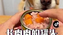 狗子的长肉秘诀来啦#科学养宠攻略 #宠物吃货