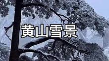 冬有冬的来意 雪有雪的秘密
秋天的遗憾  就在冬天的雪里埋葬吧#下雪了