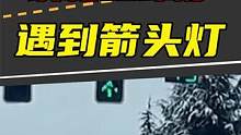 读秒红绿灯遇到箭头红绿灯怎么走？